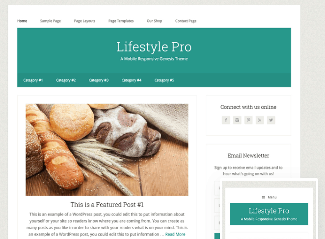 Lifestyle Pro