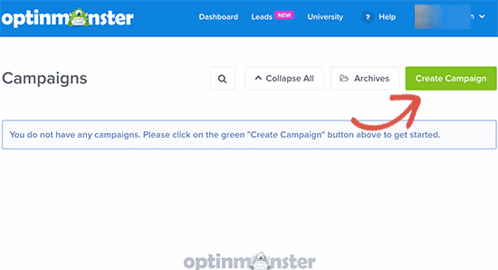 Newsletter Signup Form Using Optimonster Lite